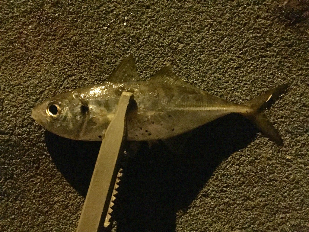 f:id:esojima3:20181010233724j:image