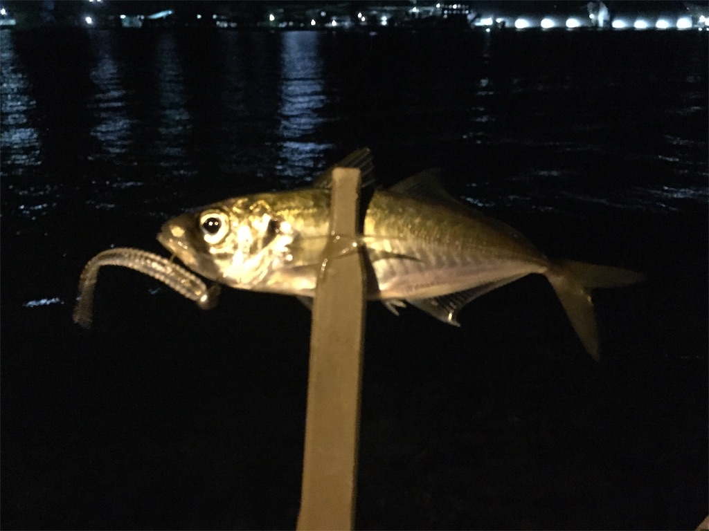 f:id:esojima3:20181014100754j:image