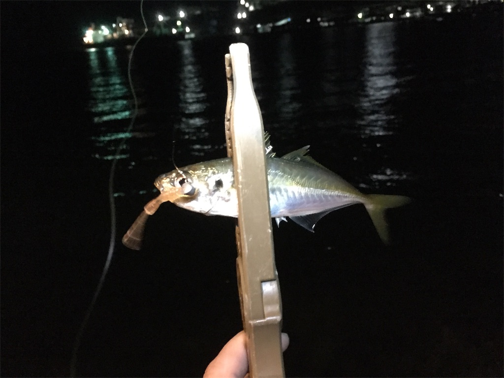 f:id:esojima3:20181014100810j:image