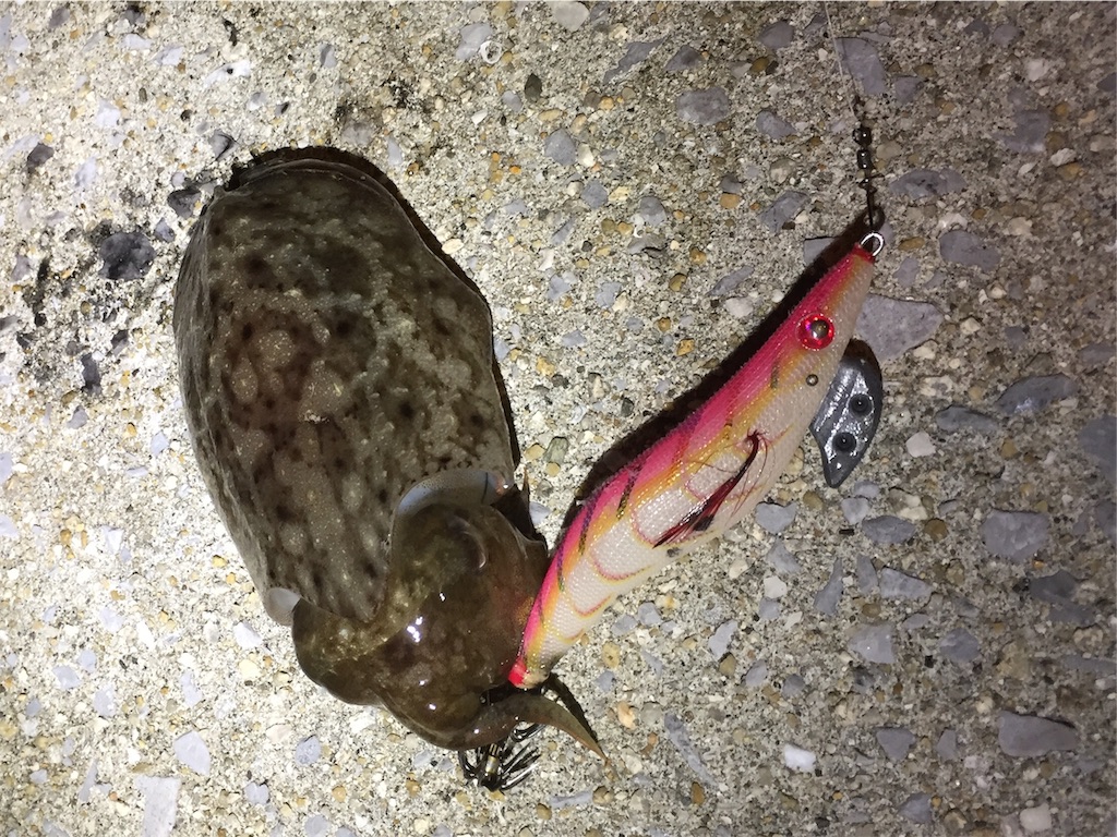 f:id:esojima3:20181014101709j:image