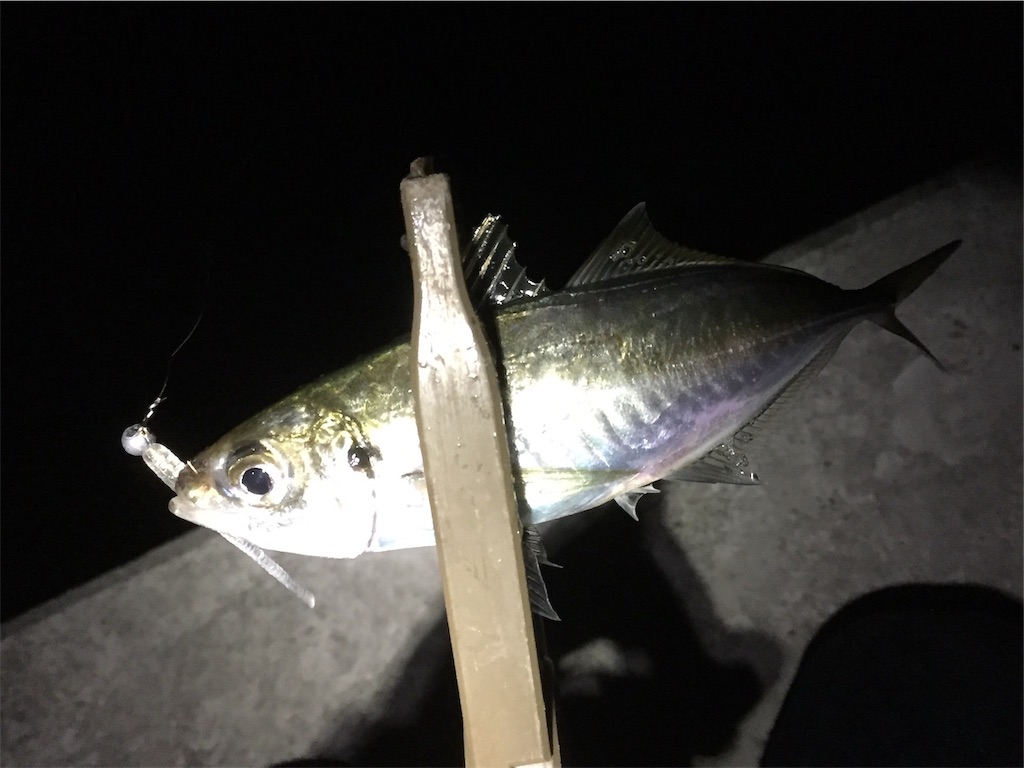 f:id:esojima3:20181014102202j:image