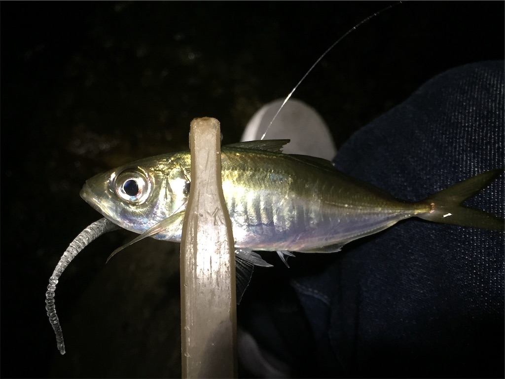 f:id:esojima3:20181016214010j:image