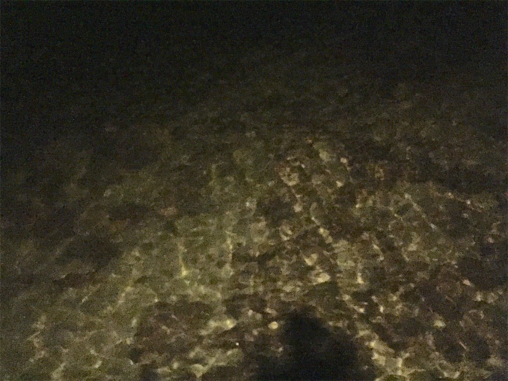 f:id:esojima3:20181019083921j:image