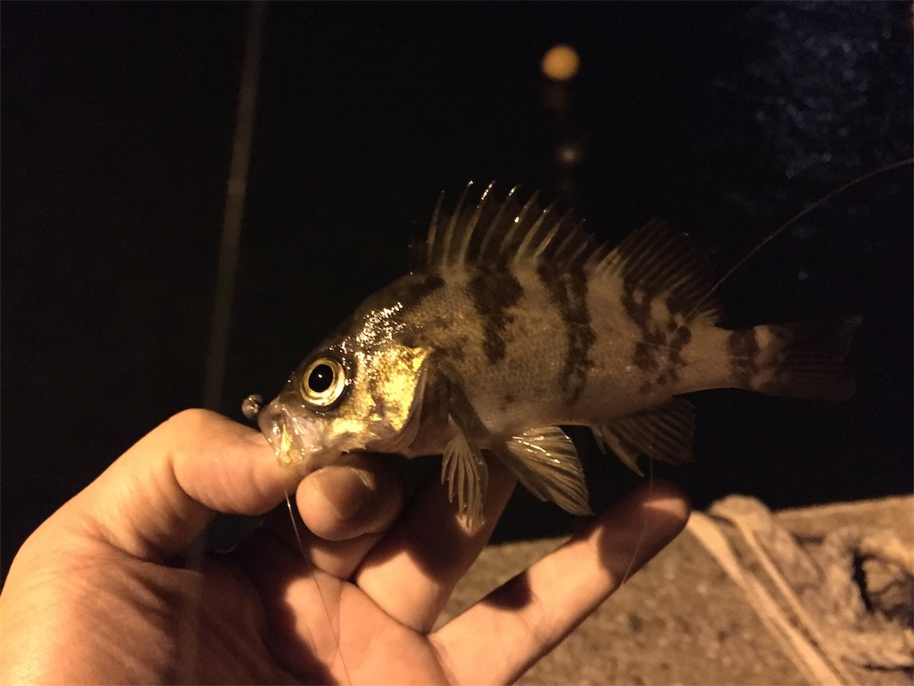 f:id:esojima3:20181019091606j:image