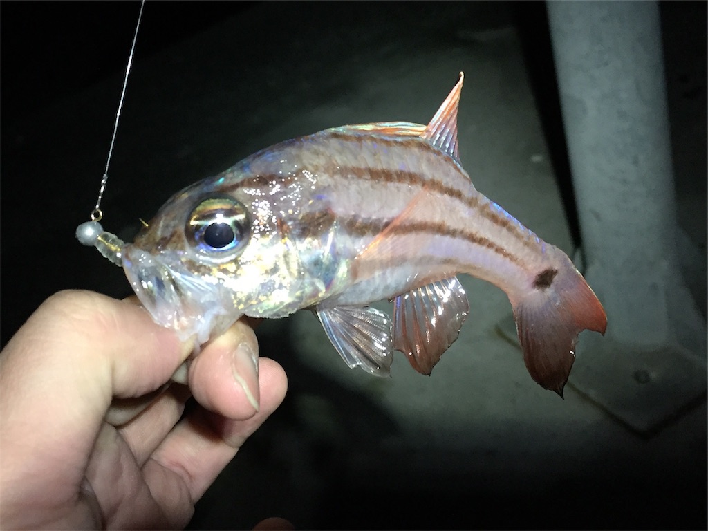 f:id:esojima3:20181020114614j:image