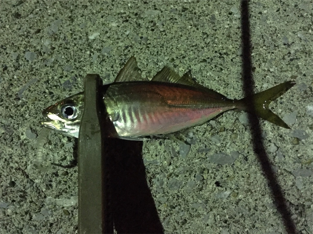 f:id:esojima3:20181020115834j:image
