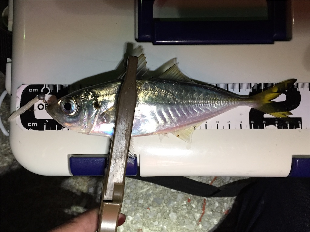 f:id:esojima3:20181020120132j:image