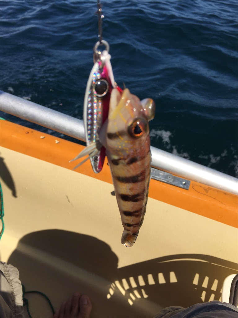 f:id:esojima3:20181028164726j:image