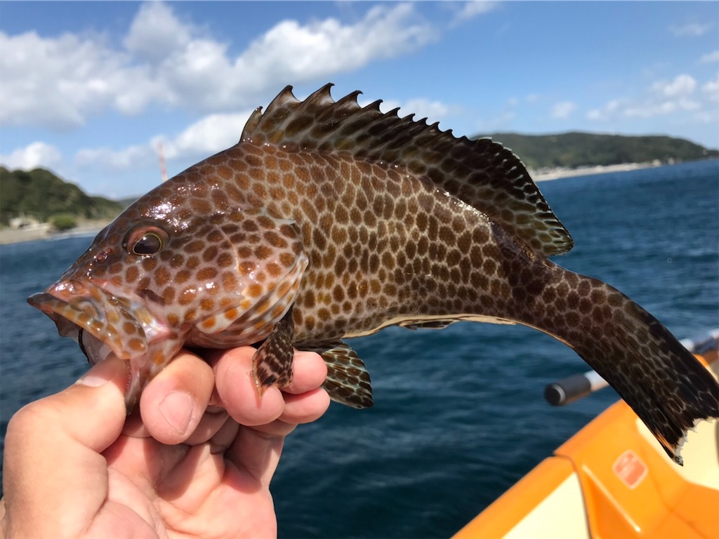 f:id:esojima3:20181028164803j:image