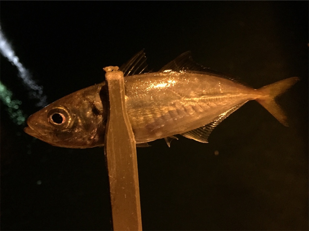 f:id:esojima3:20181110010212j:image