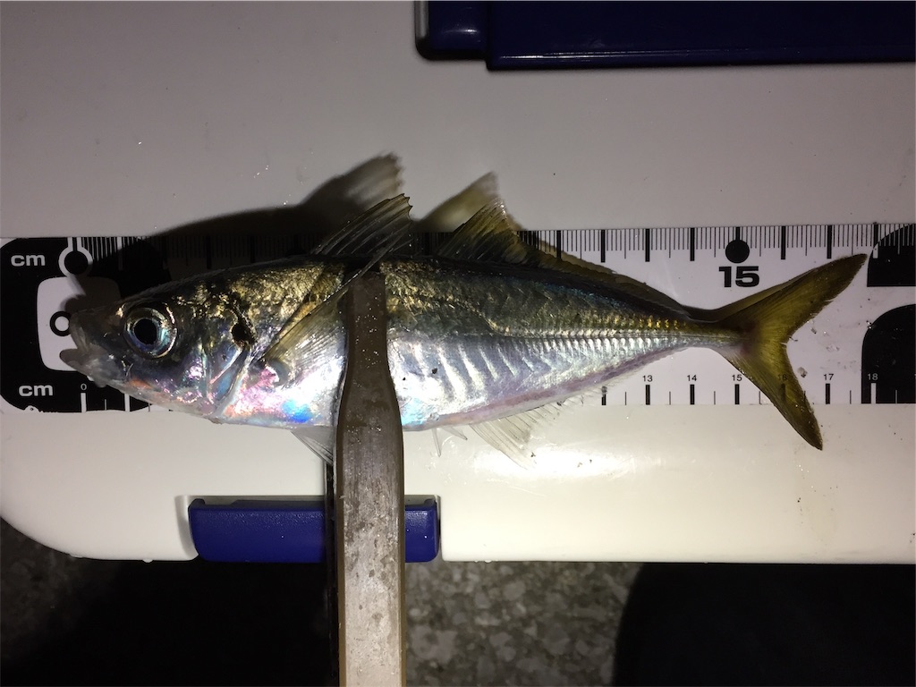 f:id:esojima3:20181118204608j:image f:id:esojima3:20181118204608j:image