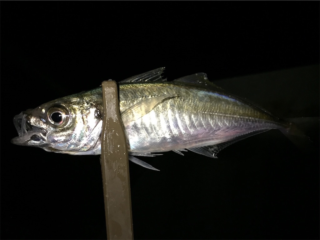 f:id:esojima3:20181118214451j:image f:id:esojima3:20181118214451j:image