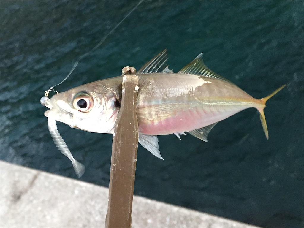 f:id:esojima3:20181124011152j:image