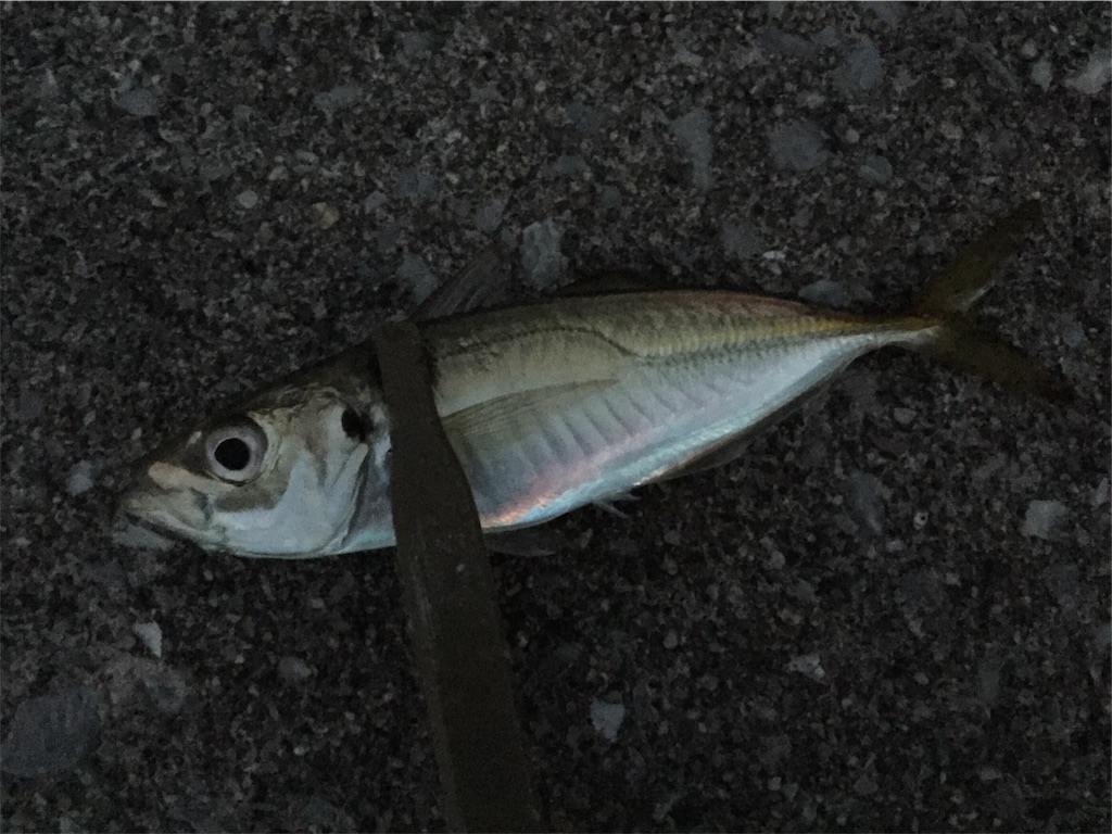 f:id:esojima3:20181125105050j:image