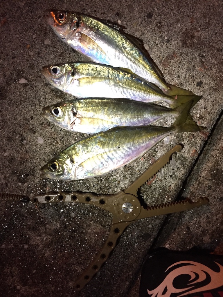 f:id:esojima3:20181125112918j:image