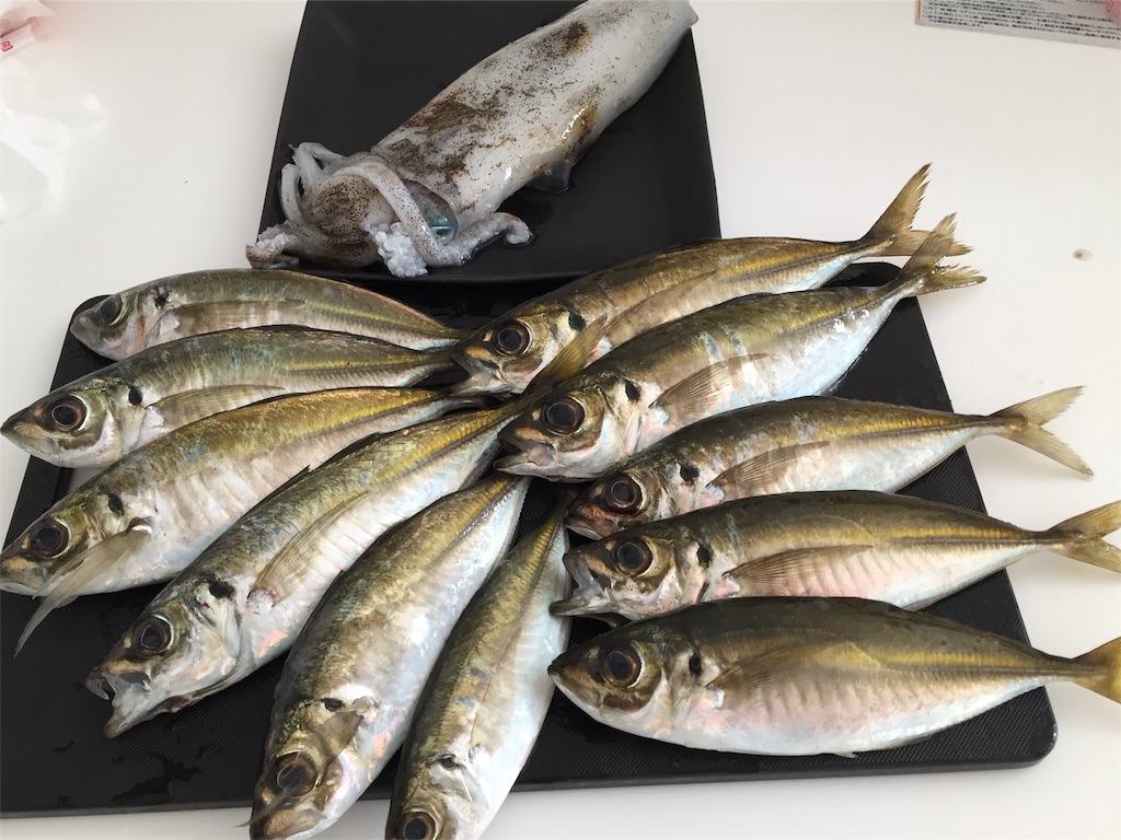 f:id:esojima3:20181125133459j:image
