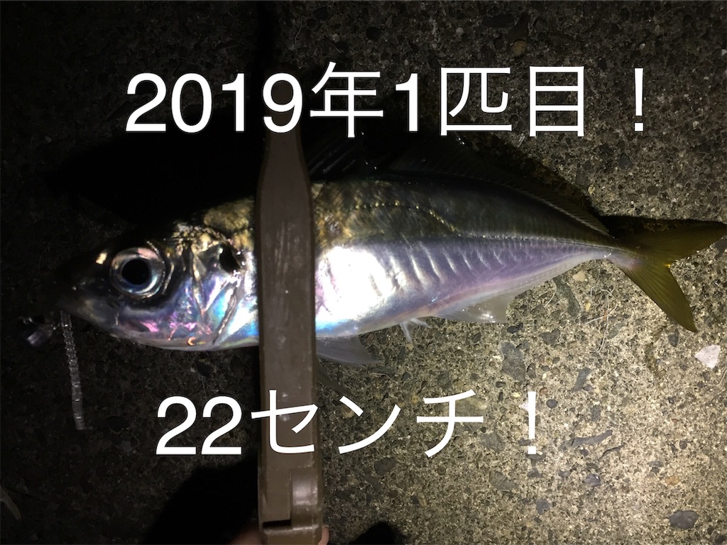 f:id:esojima3:20190102235152j:image
