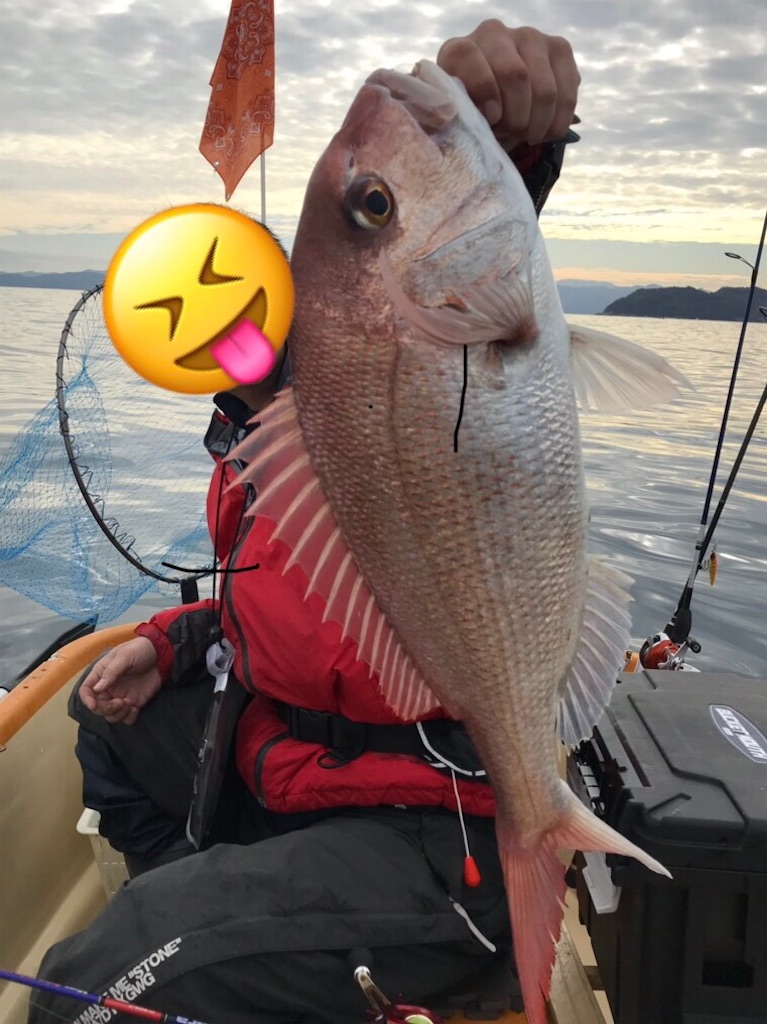 f:id:esojima3:20190104200708j:image