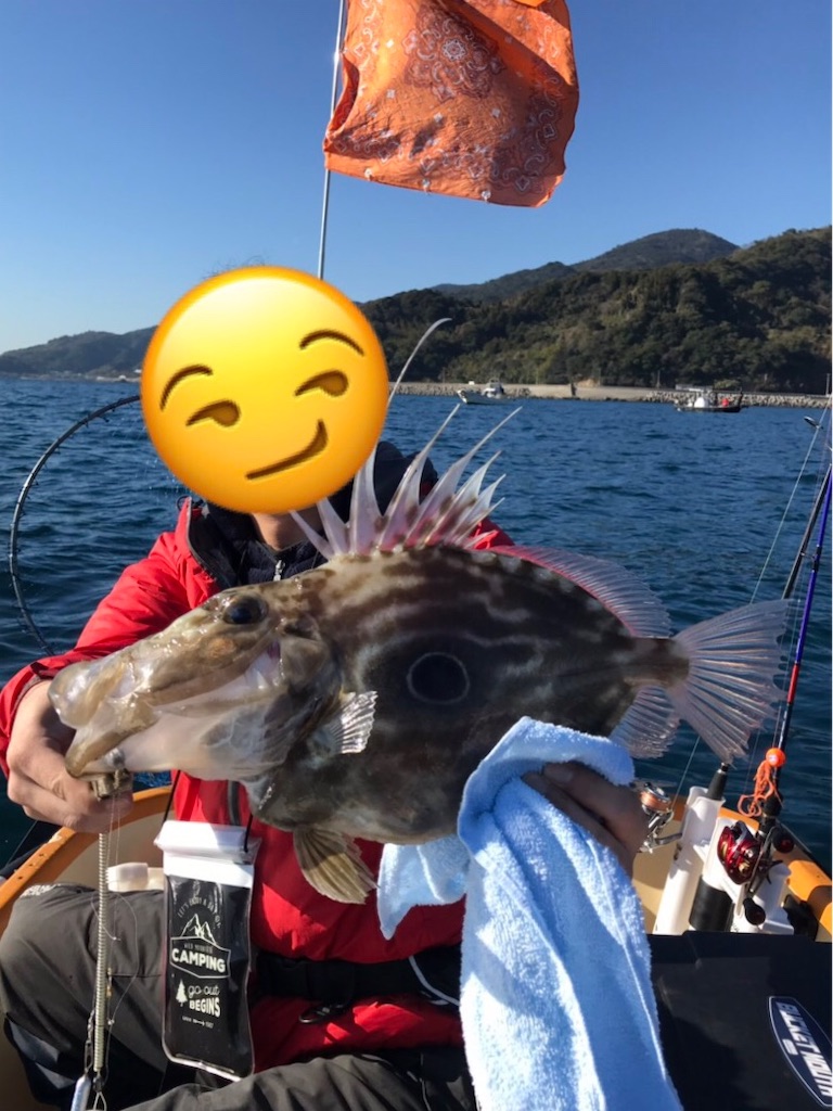 f:id:esojima3:20190104200758j:image