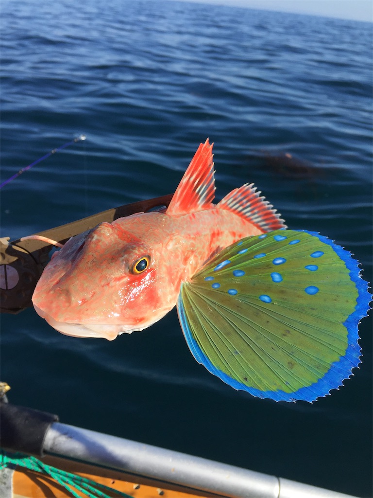 f:id:esojima3:20190104200802j:image