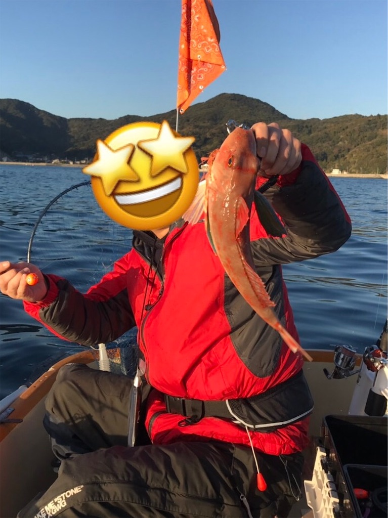 f:id:esojima3:20190104231328j:image