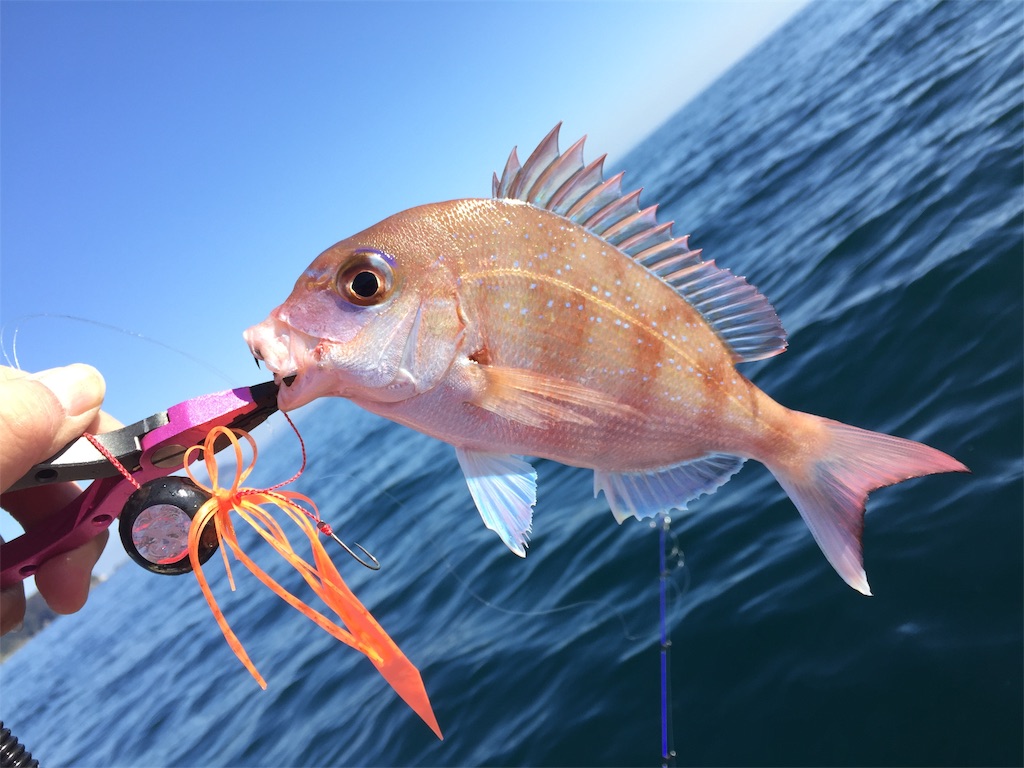 f:id:esojima3:20190104233346j:image