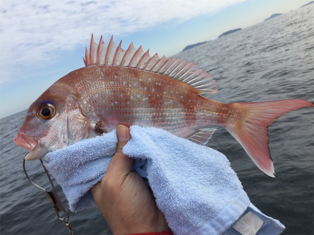 f:id:esojima3:20190104233730j:image