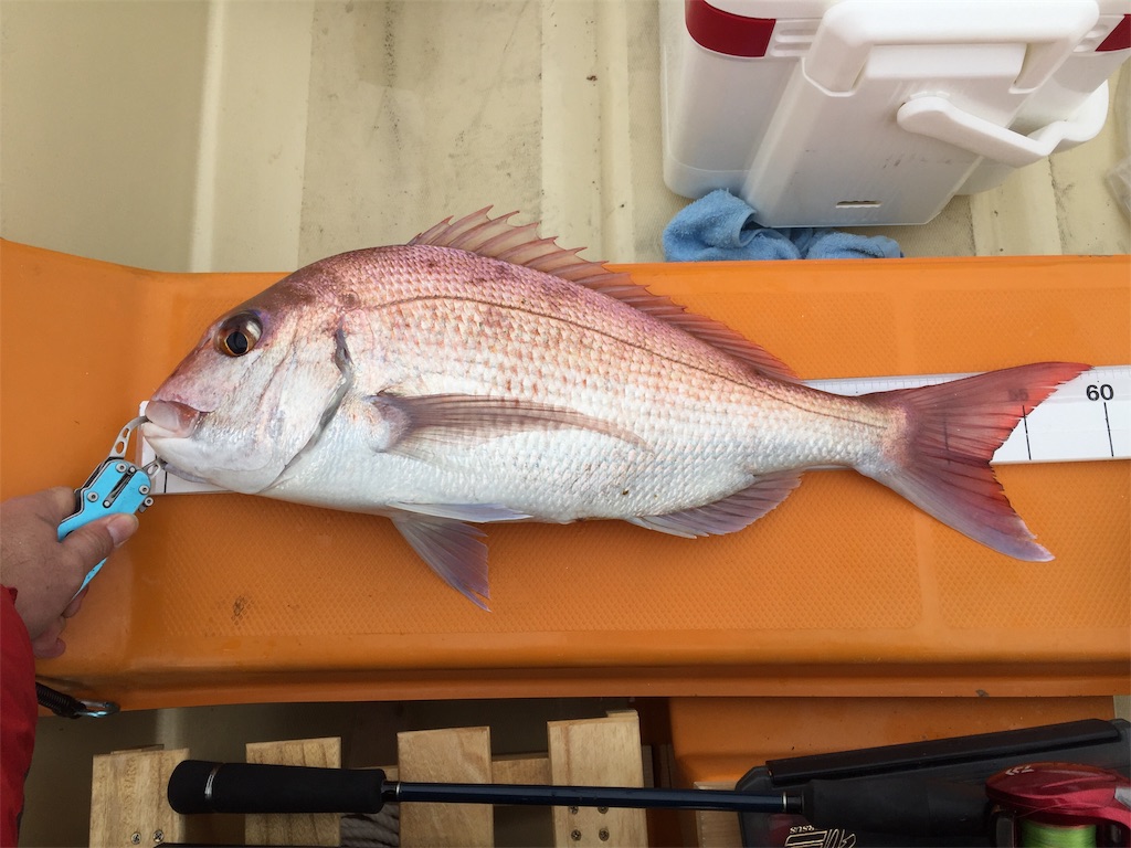 f:id:esojima3:20190104233916j:image