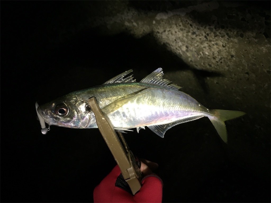 f:id:esojima3:20190106015625j:image f:id:esojima3:20190106015625j:image