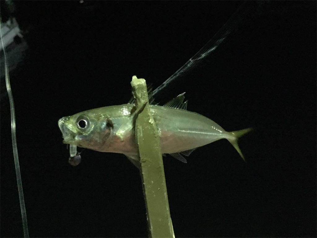 f:id:esojima3:20190106081422j:image f:id:esojima3:20190106081422j:image