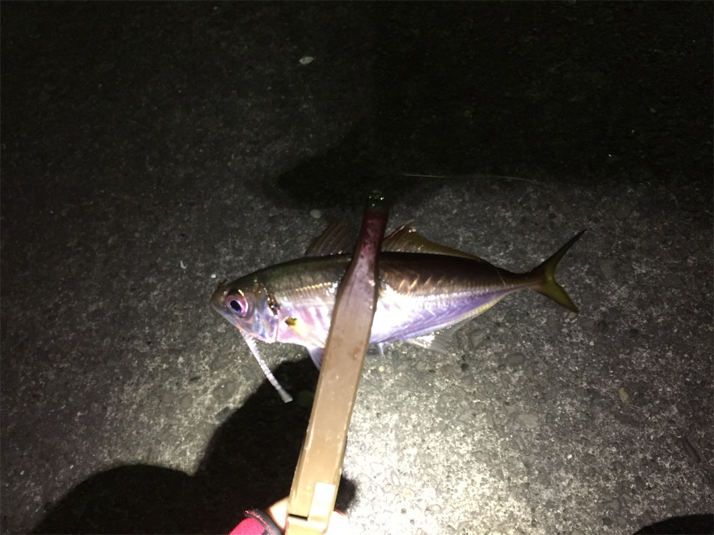 f:id:esojima3:20190106233839j:image