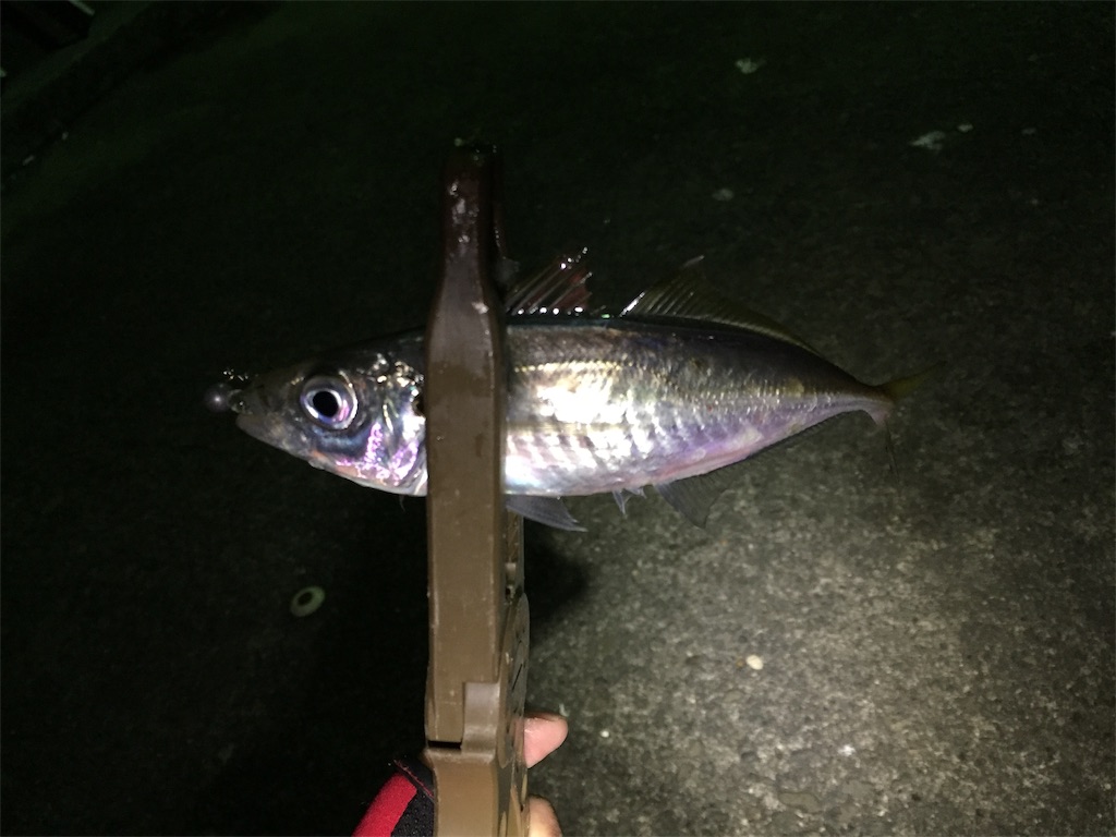 f:id:esojima3:20190106233900j:image