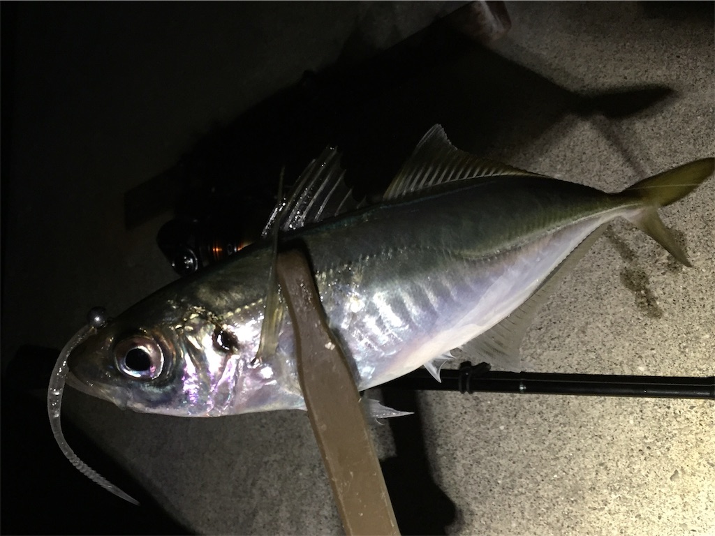 f:id:esojima3:20190107233806j:image