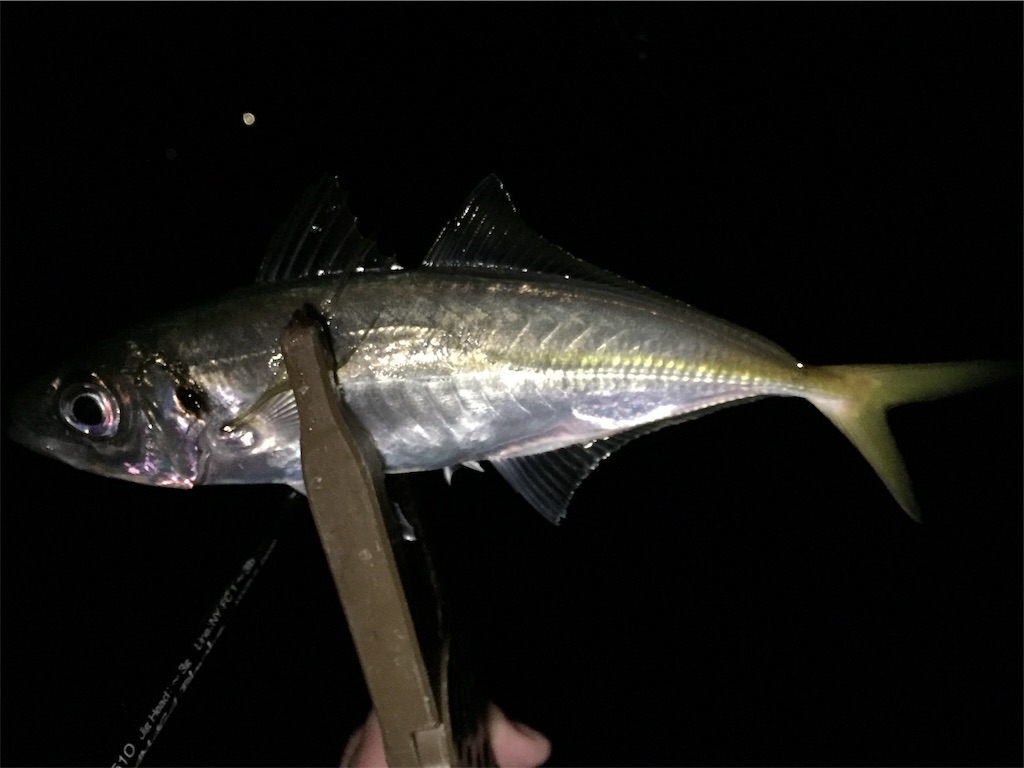 f:id:esojima3:20190107233810j:image