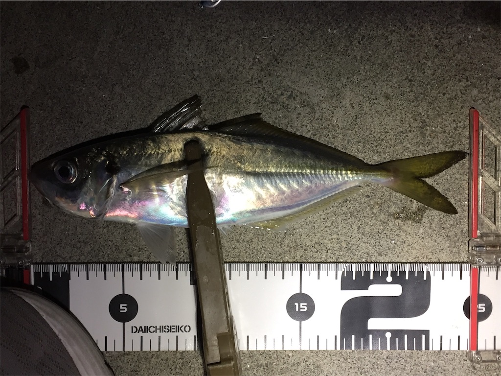 f:id:esojima3:20190107234217j:image