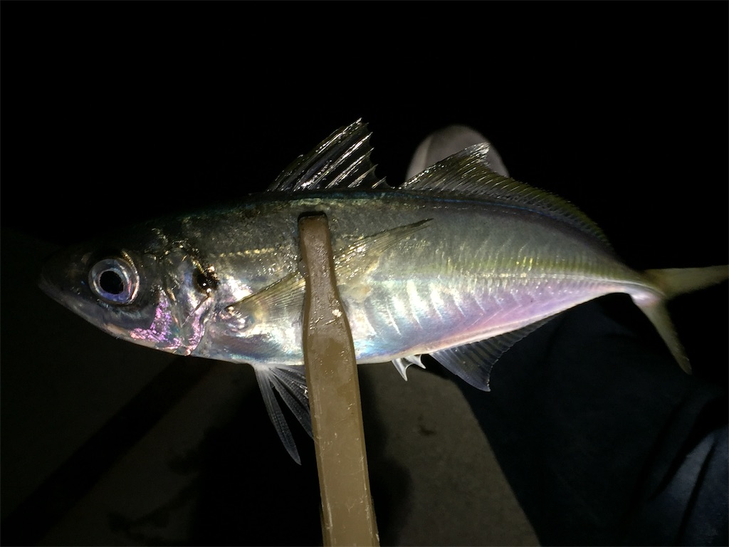 f:id:esojima3:20190107234339j:image