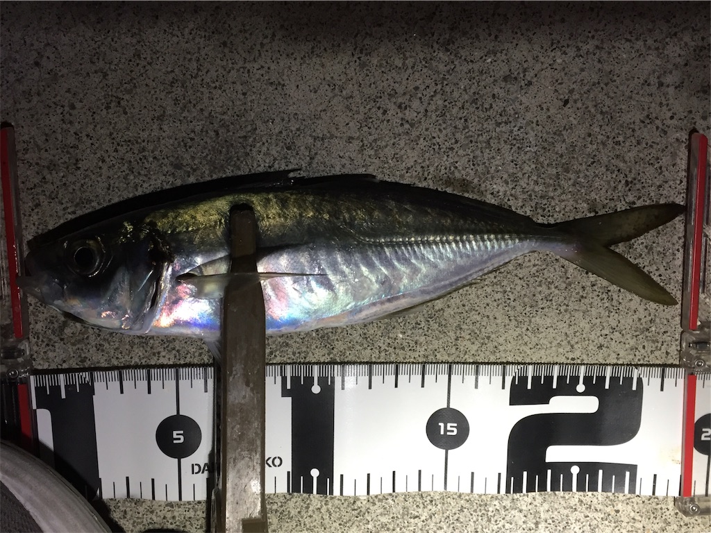 f:id:esojima3:20190108055547j:image