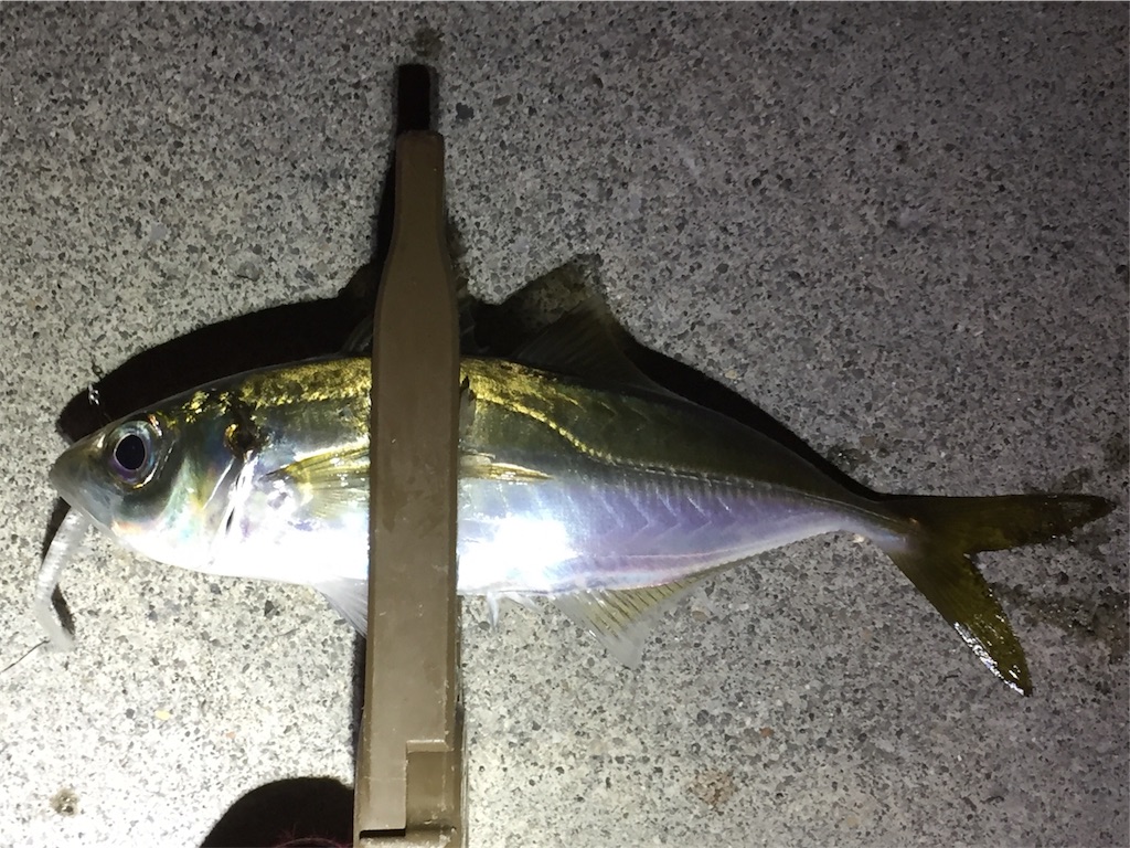 f:id:esojima3:20190110233913j:image f:id:esojima3:20190110233913j:image