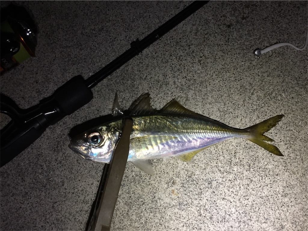 f:id:esojima3:20190110233919j:image f:id:esojima3:20190110233919j:image