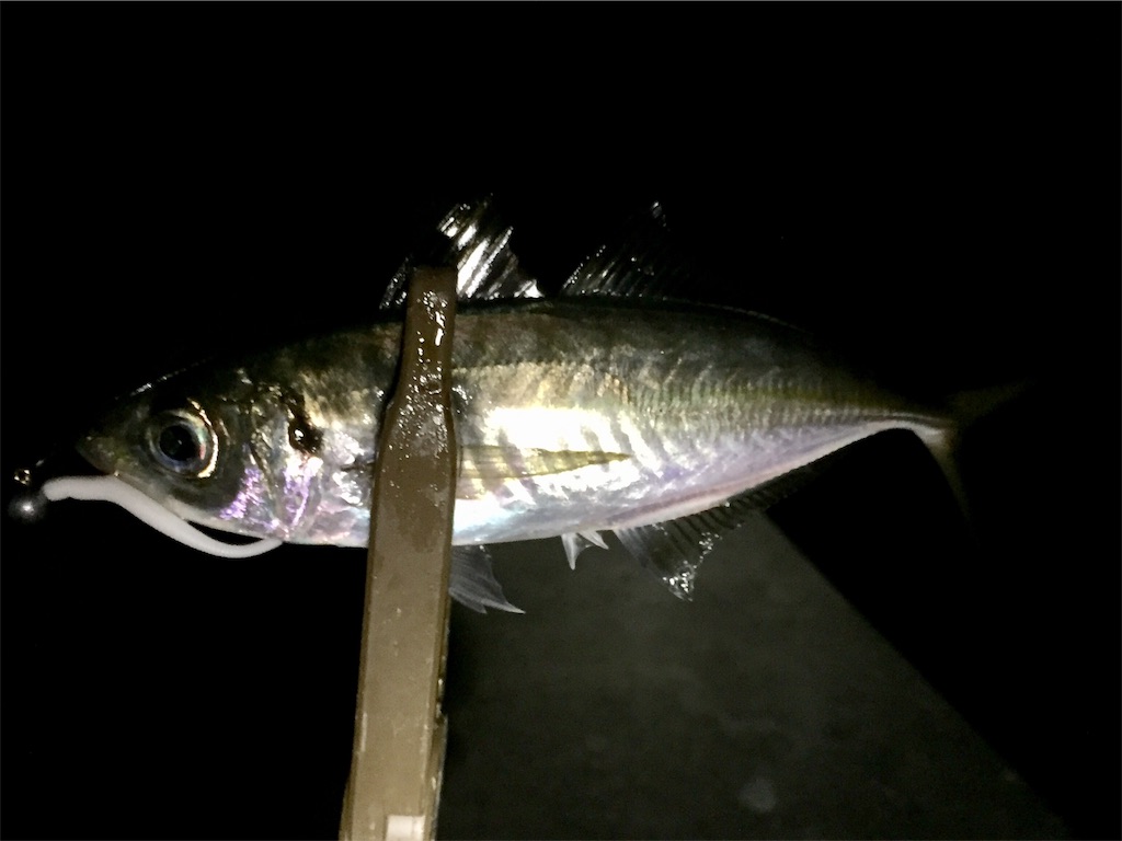 f:id:esojima3:20190110233929j:image f:id:esojima3:20190110233929j:image