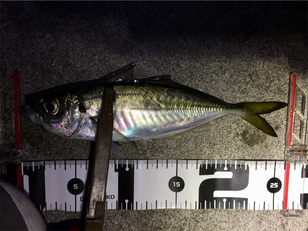 f:id:esojima3:20190110234814j:image f:id:esojima3:20190110234814j:image