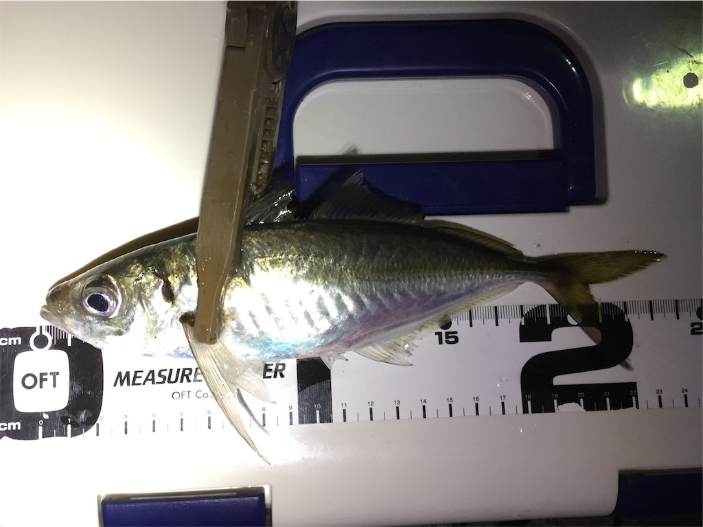 f:id:esojima3:20190112025053j:image