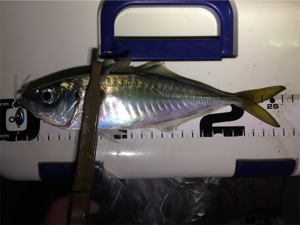f:id:esojima3:20190112025641j:image