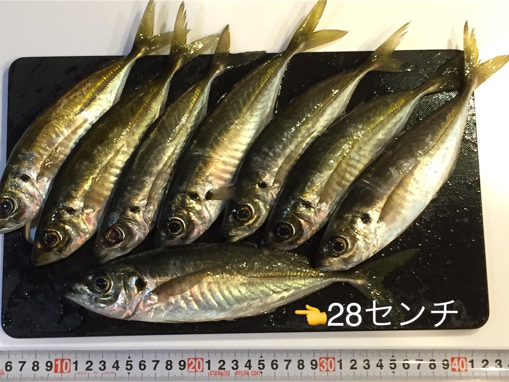 f:id:esojima3:20190112164025j:image