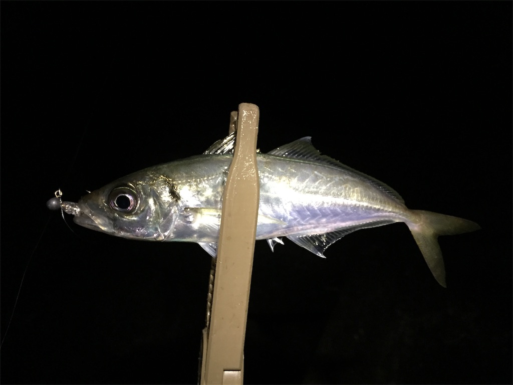 f:id:esojima3:20190113231332j:image f:id:esojima3:20190113231332j:image