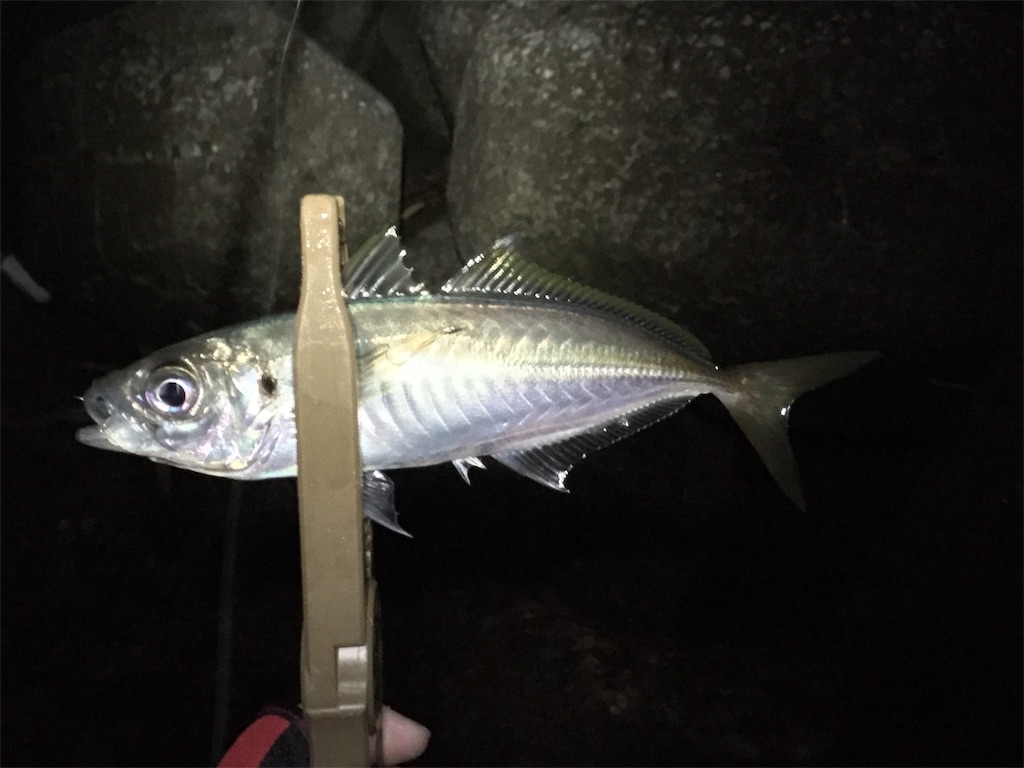 f:id:esojima3:20190113231339j:image f:id:esojima3:20190113231339j:image