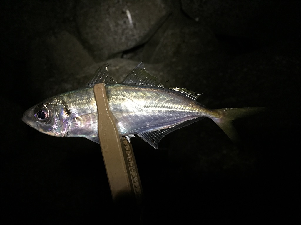 f:id:esojima3:20190113231342j:image f:id:esojima3:20190113231342j:image