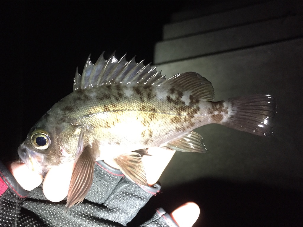 f:id:esojima3:20190116230631j:image