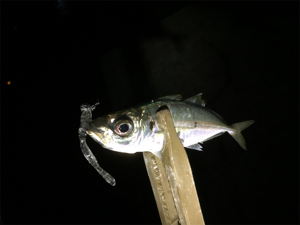 f:id:esojima3:20190120083005j:image
