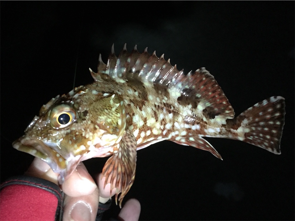 f:id:esojima3:20190120083236j:image
